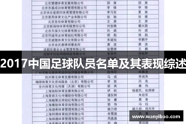 2017中国足球队员名单及其表现综述